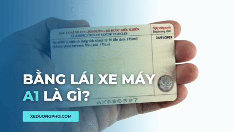 Bằng lái xe máy A1 lái xe gì?