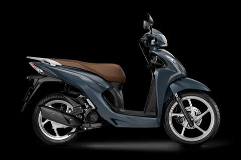 vision phiên bản cổ điển 2024